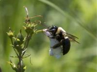 View photo in a new window