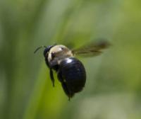 View photo in a new window