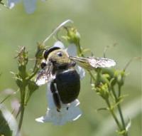 View photo in a new window