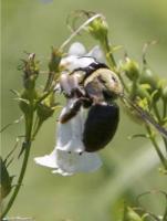 View photo in a new window