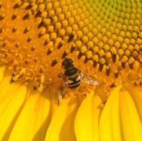 View photo in a new window