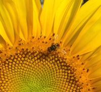 View photo in a new window