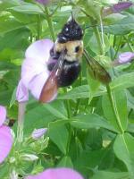 View photo in a new window