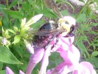 View photo in a new window