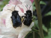 View photo in a new window