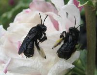 View photo in a new window