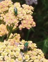 View photo in a new window