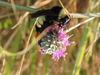 View photo in a new window