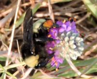 View photo in a new window