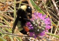 View photo in a new window