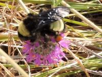 View photo in a new window