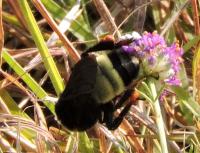 View photo in a new window