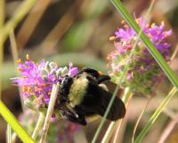 View photo in a new window