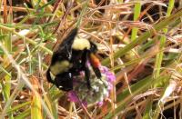 View photo in a new window