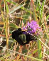 View photo in a new window