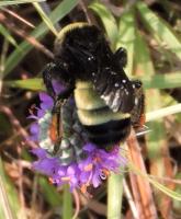 View photo in a new window