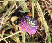 View photo in a new window