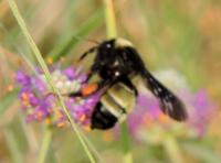 View photo in a new window