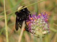 View photo in a new window