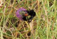 View photo in a new window