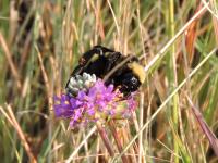 View photo in a new window