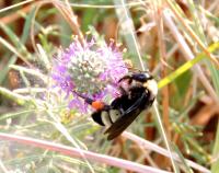 View photo in a new window