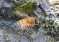 View photo in a new window