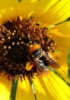 View photo in a new window