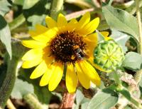 View photo in a new window