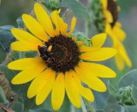 View photo in a new window