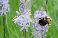 View photo in a new window