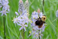 View photo in a new window