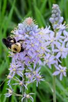 View photo in a new window