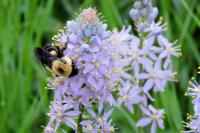 View photo in a new window