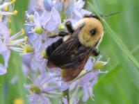 View photo in a new window