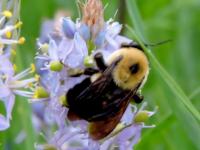 View photo in a new window