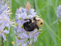 View photo in a new window