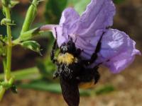 View photo in a new window