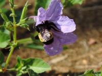 View photo in a new window