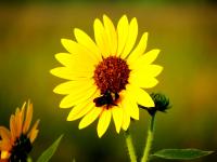 View photo in a new window