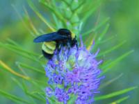 View photo in a new window