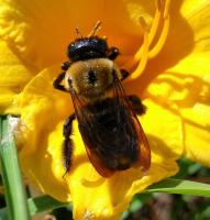 View photo in a new window