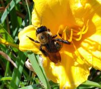 View photo in a new window