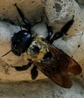 View photo in a new window