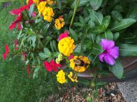 View photo in a new window