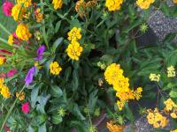 View photo in a new window