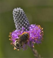 View photo in a new window