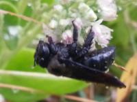 View photo in a new window