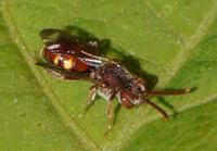 View photo in a new window