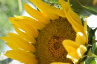 View photo in a new window